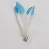 White &blue feather
