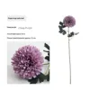Violet foncé