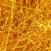 colorful Straight Gold