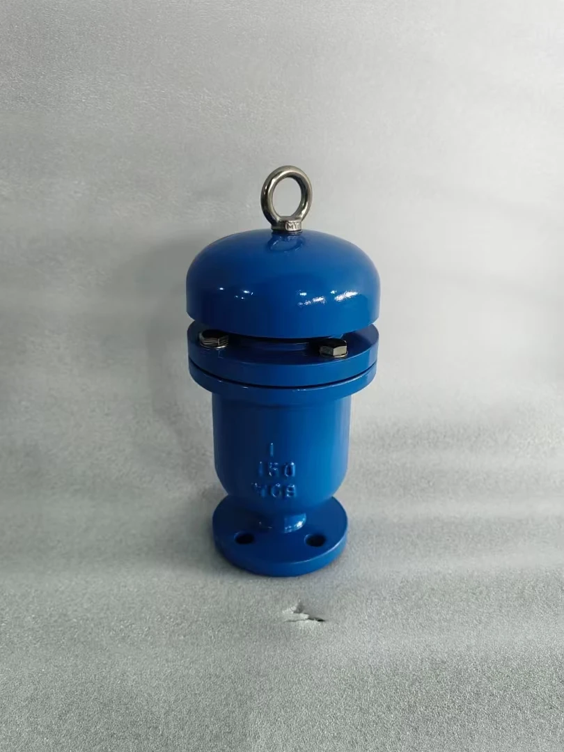 LANHUI Manual Safety Release Valve Hot Sales Push Button Vacuum Air Release for General Application
