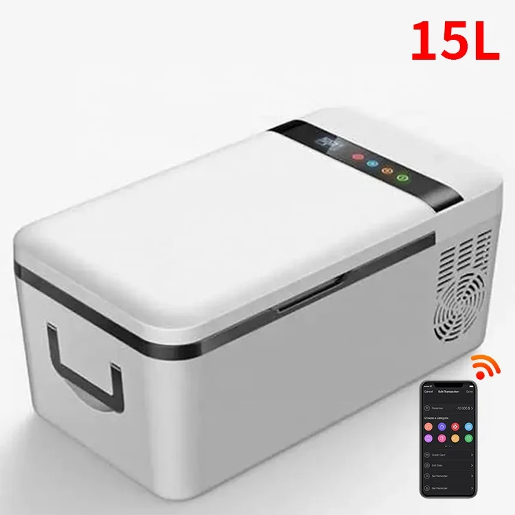 Hot Selling Hot And Cold Portable Car Refrigerator Mini Camping Fridge