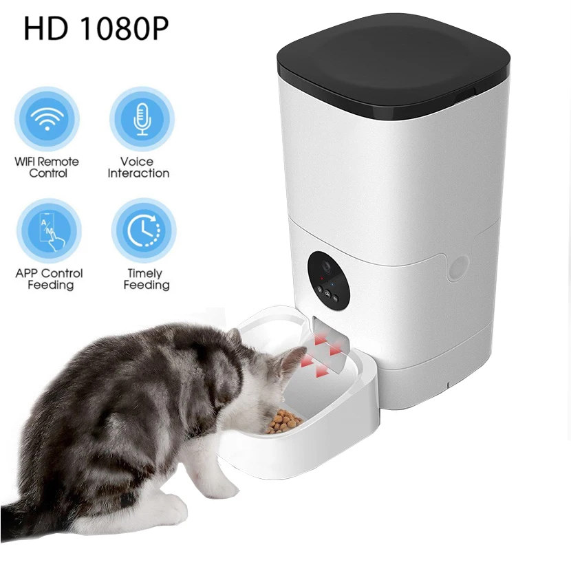 scheduled dog feeder