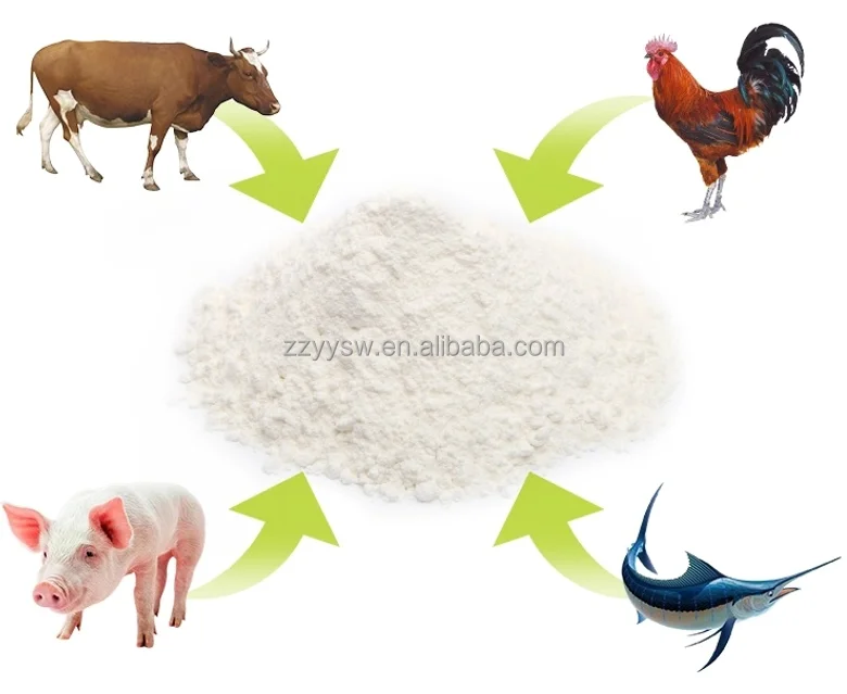 Food Bone Chondroitin Sulfate Sodium Salt 90 Porcine Chondroitin