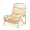 Natural Rattan Finish
