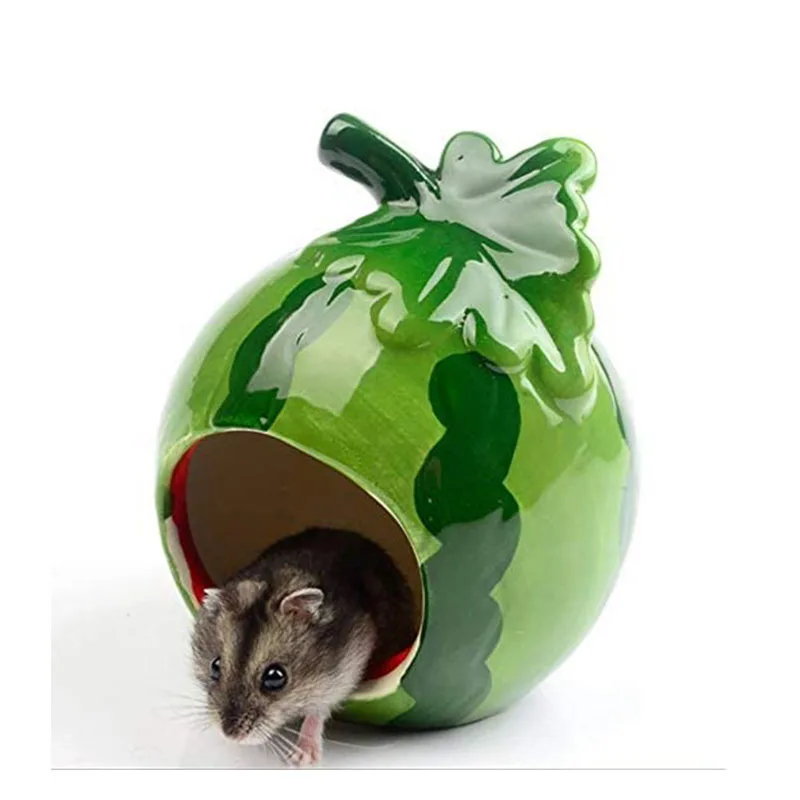 hamsters at petsmart