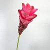 สีชมพูเข้ม