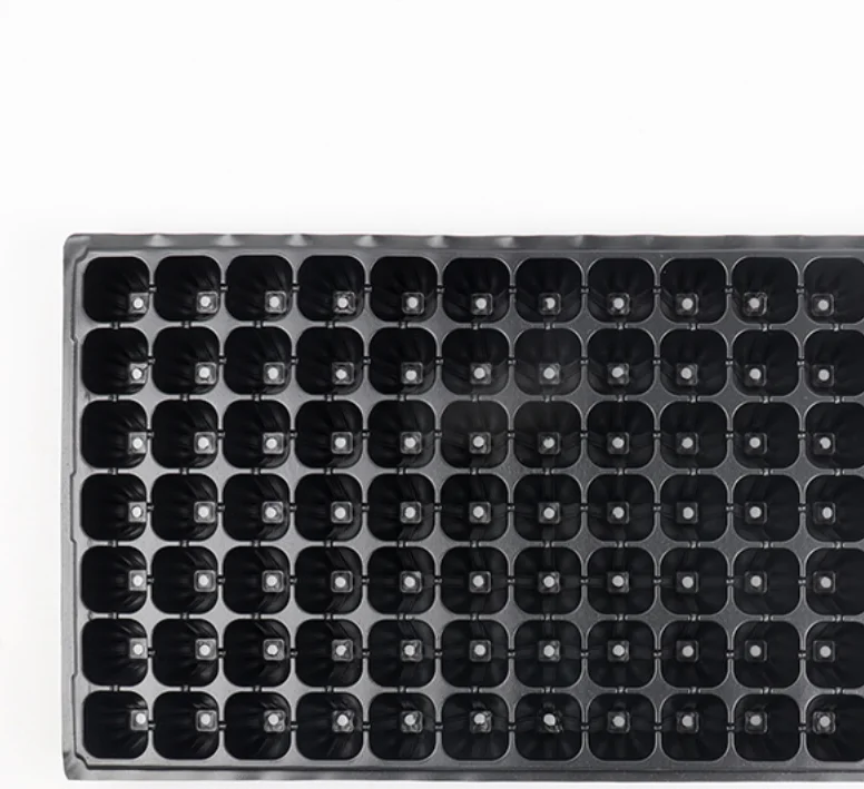 sugarcane seed tray Growing Trays 72 Cells Nursery Seedling Germination Trays with Drain Holes