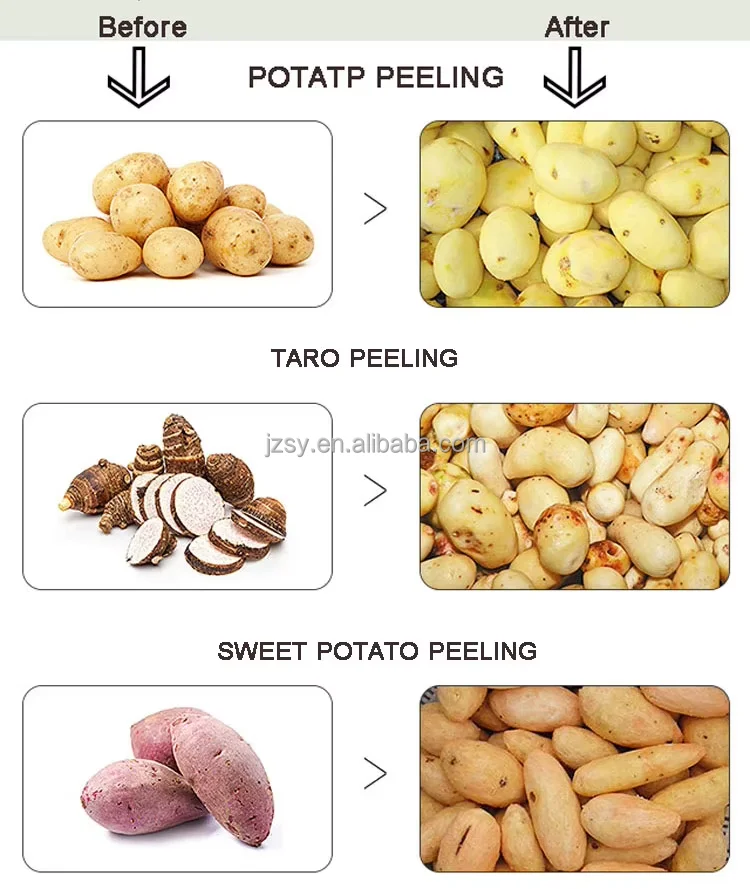 JZSY 200kg/h Small Commercial Automatic Potato Peeling Machine - Image 6