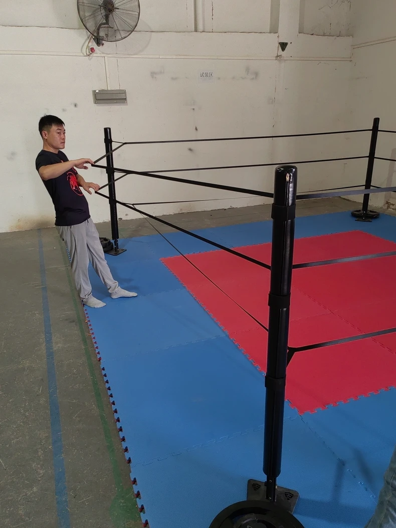 Mini 4x4 Boxing Ring - Compact and Economical Training Space