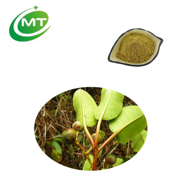 Quality Best Price Organic Prunus African Prunus Africana Bark Extract