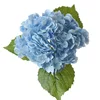 Azul claro