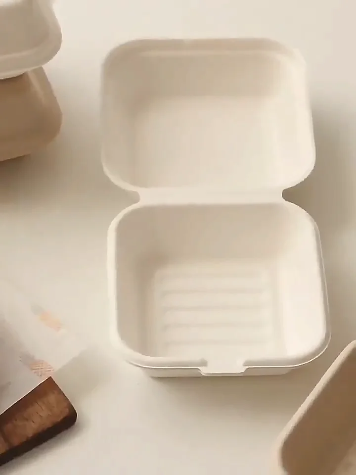 Take Away Biodegradable Lunch Packaging Disposable Clamshell Box Food ...