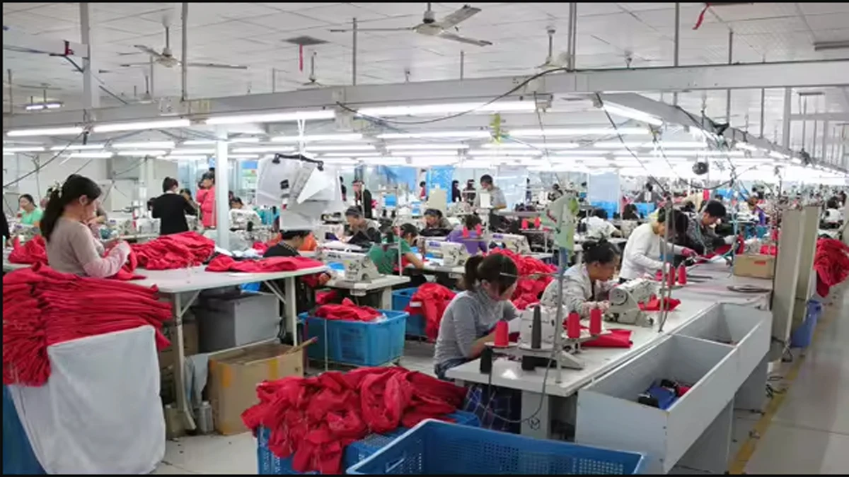 Quanzhou Yibiao Sexy Lingerie Co., Ltd. 1