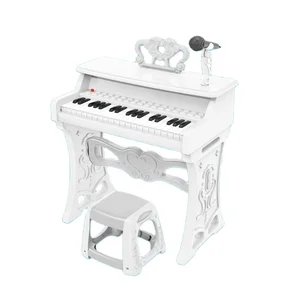 Simple Style Electronic Musical Organ Toy for Kids Children Learning Music Educational Set Package