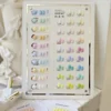 36  color