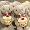 Birthday Cake Bunny