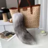 Renard des neiges bleu