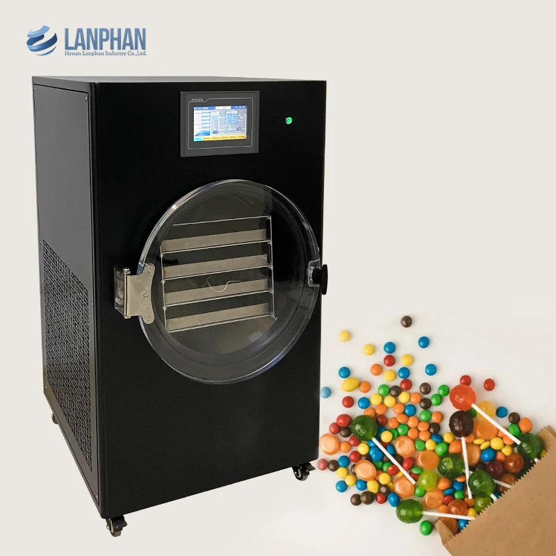 Lanphan Large Capacity Medical Laboratory Pilot Freeze Dryer Price