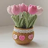 Large potted pink tulips