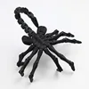 24cm black face-hugging insect