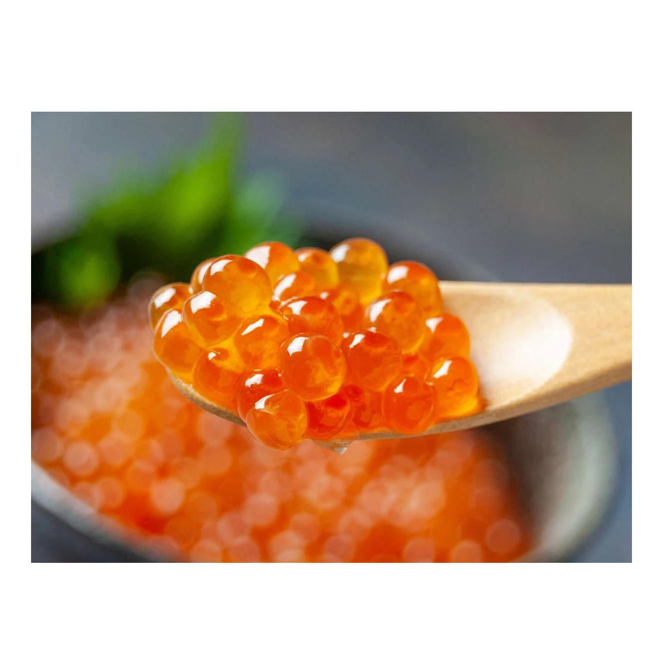 frozen salmon eggs