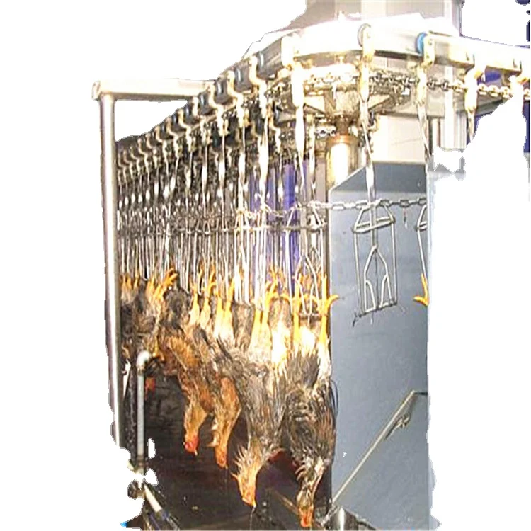 Good manufacturing practice chicken slaughtering machine price: