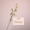 Yellow (single style)