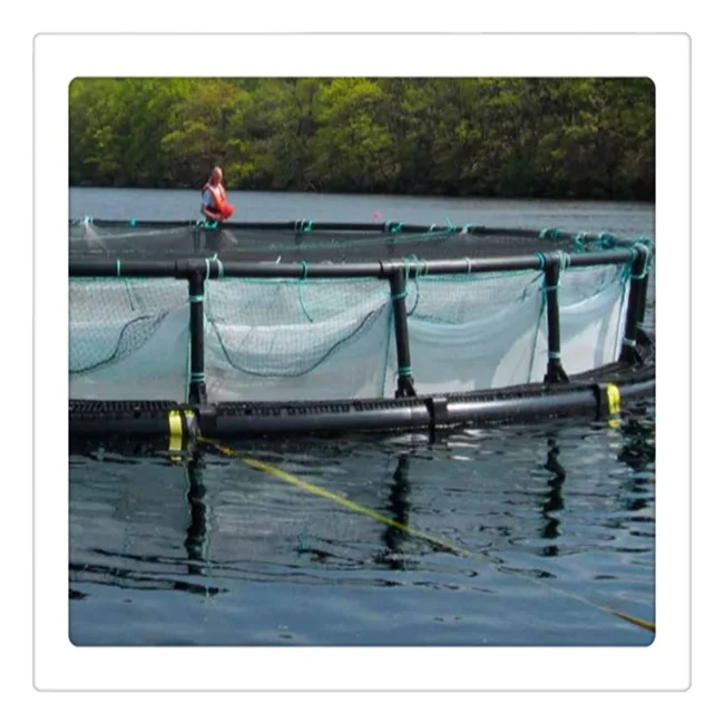 20m HDPE Cage Floating Fish Farming Durable Eco-friendly