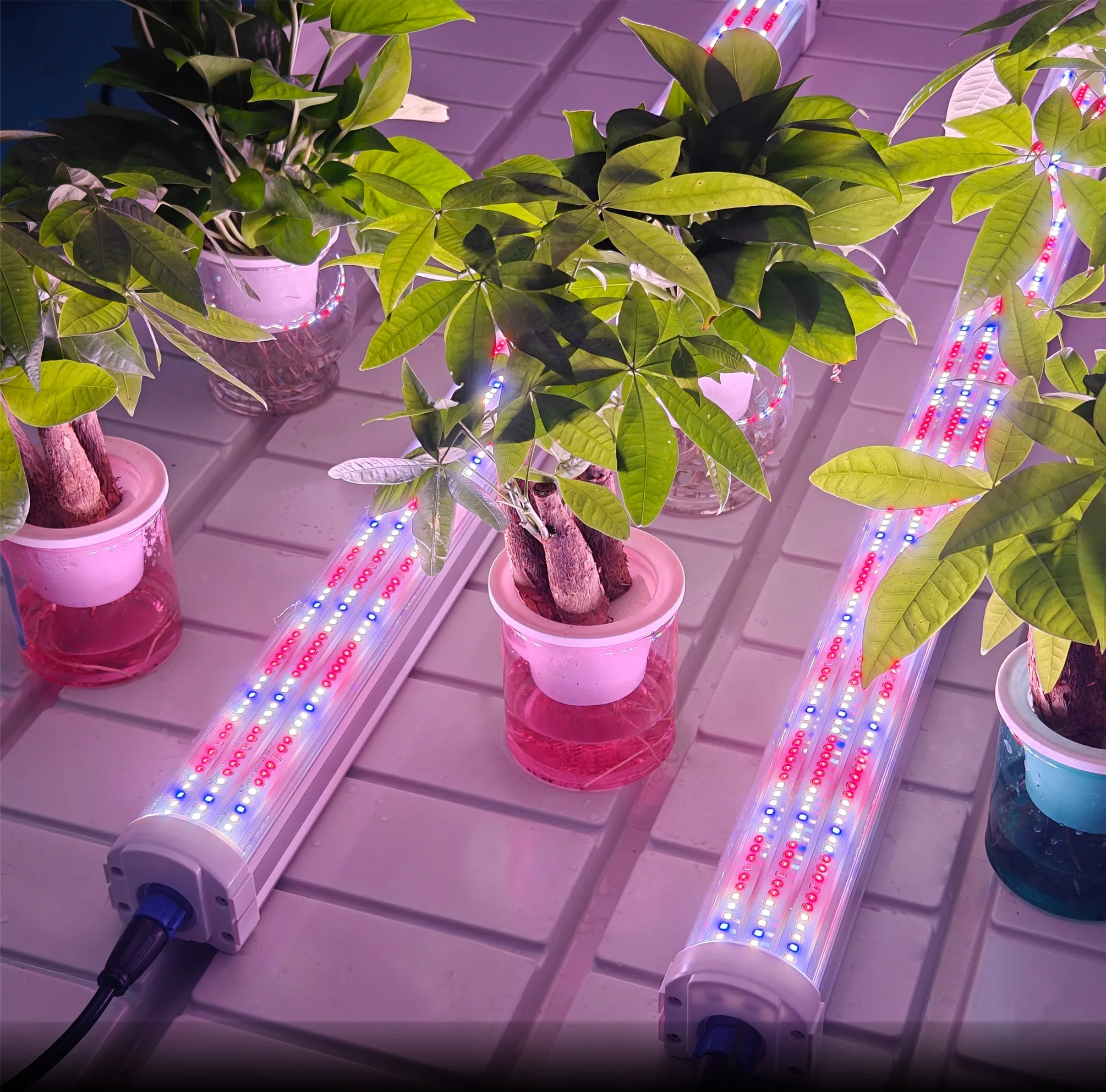High Efficacy 4ft Increase Yield Daisy-Chain 120W/135W/150W Aluminum Under  Canopy LED Bloom Plant Grow Light Strip| Alibaba.com