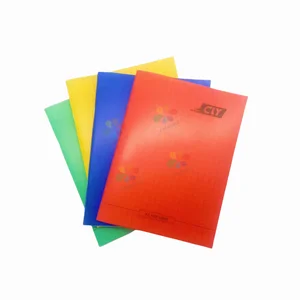 OEM Factory A5 PP Cover French Ruled Exercise Book with Two-Color Layout and Full Wood Pulp Pages Custom Saddle Stitch Notebook