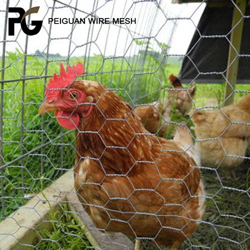 Galvanized Steel Weave Poultry Netting Hexagonal Wire Mesh Chicken Wire Mesh Philippines