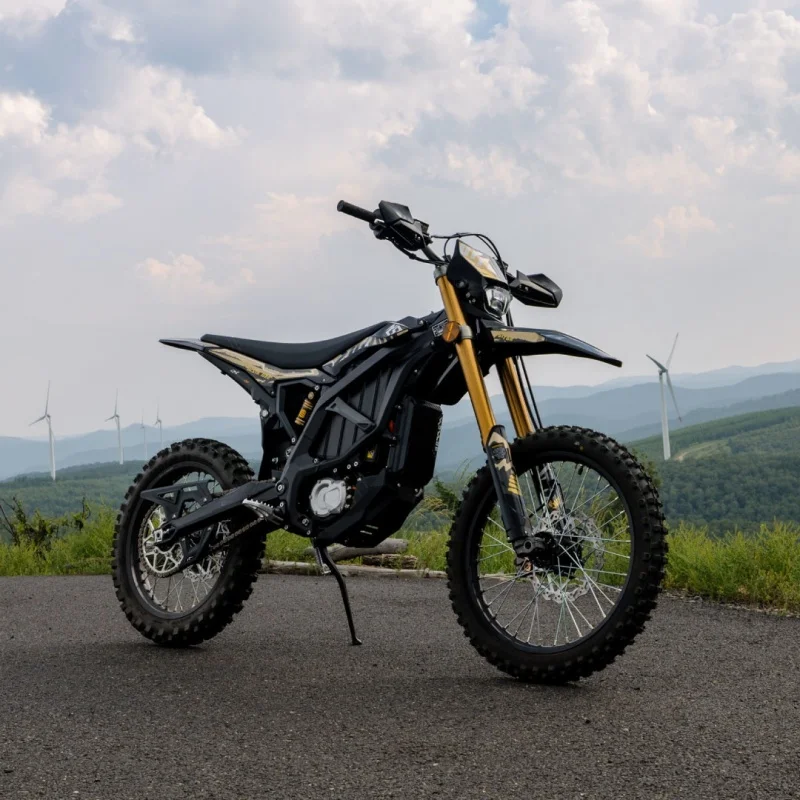★　Electric Rider　バイク rider x electric dirt bike Electric Motorcycles 72V 55Ah Off-Road