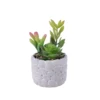Succulente artificielle mixte en pot de ciment