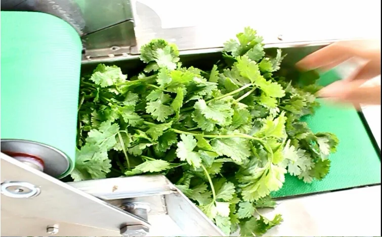 FC-305 Okra Cutting Machine Okra Cutter for Sale Industrial Okra Cutter Machine