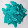 มีสีเขียวขุ่น