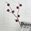 7 heads of hawthorn (red)