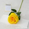 Yellow velvet