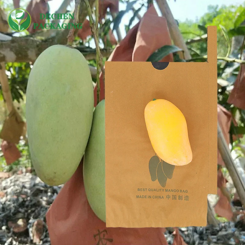 Sacs de protection de fruits de mangue de sac de papier de goyave kraft ciré à vendre