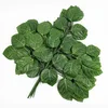 12 rami di magnolia verde