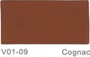 Cognac V01-09