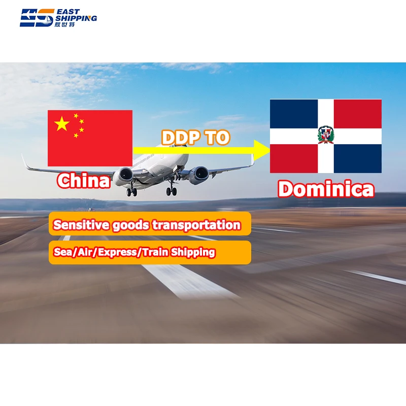 Shipping Agent China To Dominican Container Shipping Agente De Carga Cargo Agency DDP Door To Door Shipping To Dominican