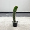 55cm