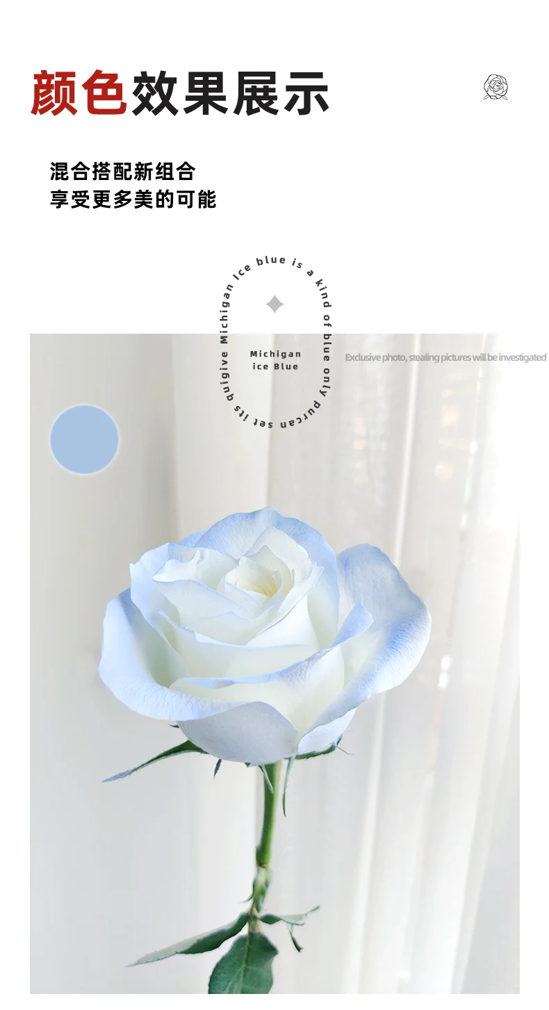 2024 New Product Real Flowers Spray Paint Flower Painting In Different