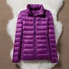 stand collar-4