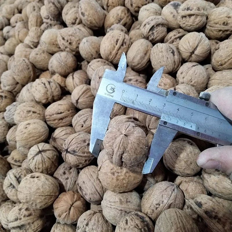 Top Quality Wallnut Wholesale Paper Raw 33 185 Walnut Bulk Price Big