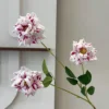 Poudre blanche rose 3D