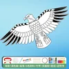 Palette di colori a 6 tonalità "Line Art Bambù Aquila" con tavola da 50m