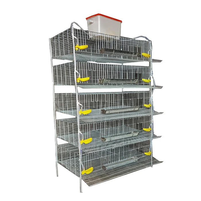 Poultry Quail Equipments Layer Quail Cage With Automatic Feeder - Buy ...