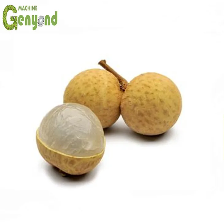 Shanghai Litchi Longan Lychee Peeling Machine for Juice Processing Line