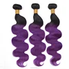 T1b/purple